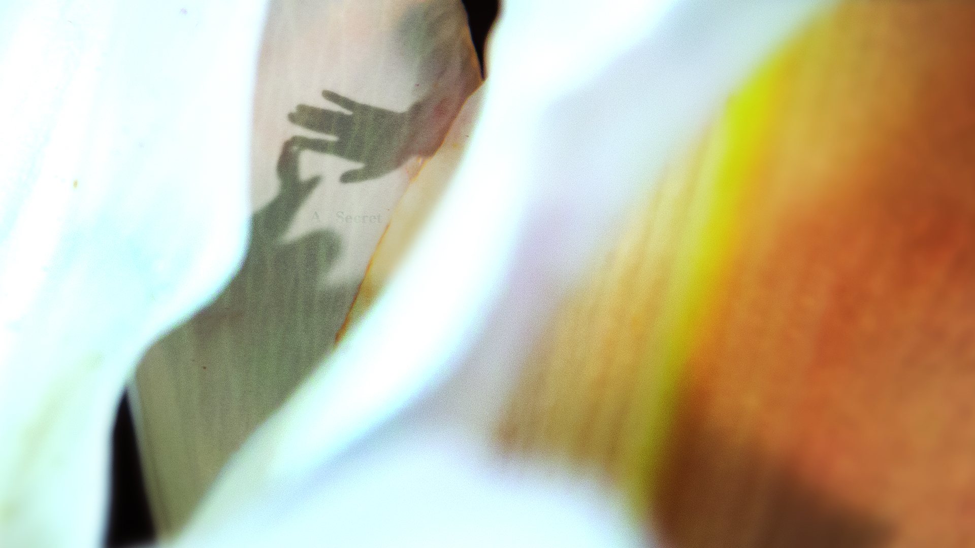 Switched at Birth title sequence frame