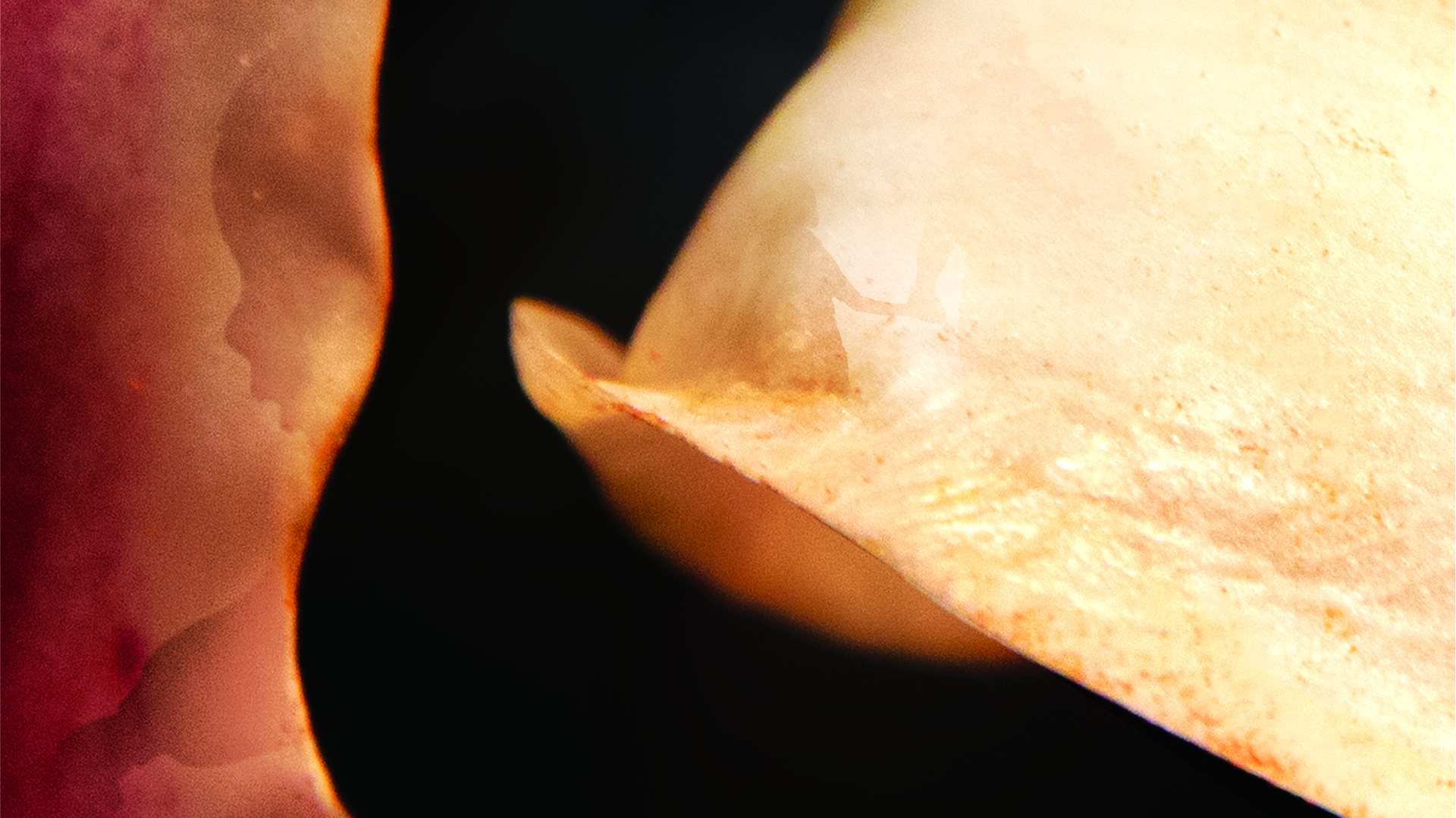 Switched at Birth title sequence frame