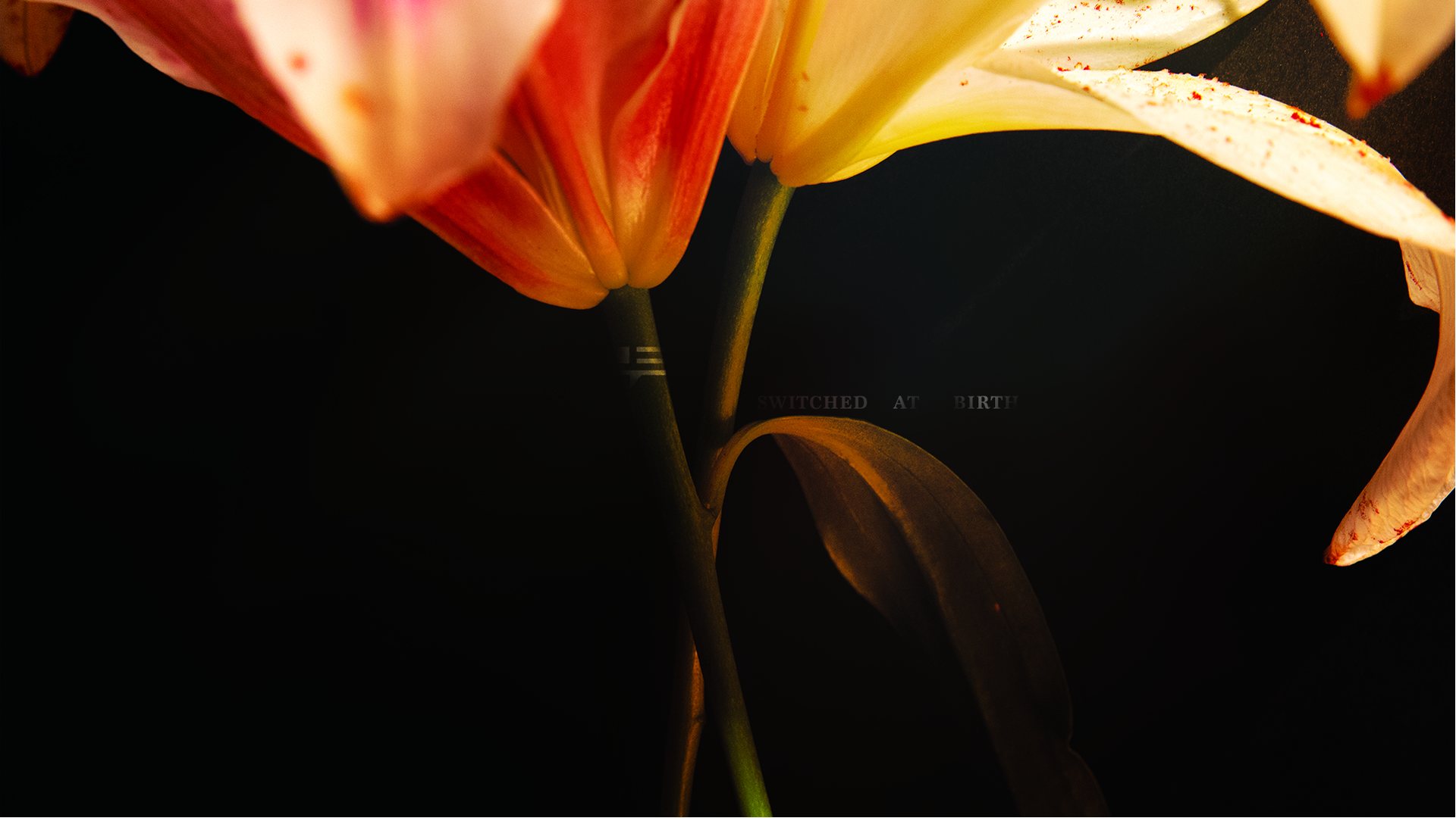 Switched at Birth title sequence frame